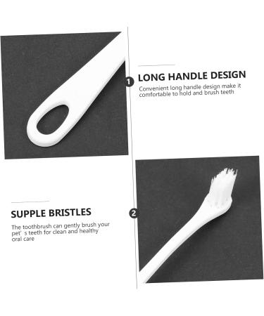 Beavorty 2pcs Home Oral Care Cleaning Dog Tooth Pet Manual Pets Supplies Soft-bristle Portable 1 count (Pack of 1) White - Buy Online on GoSupps.com