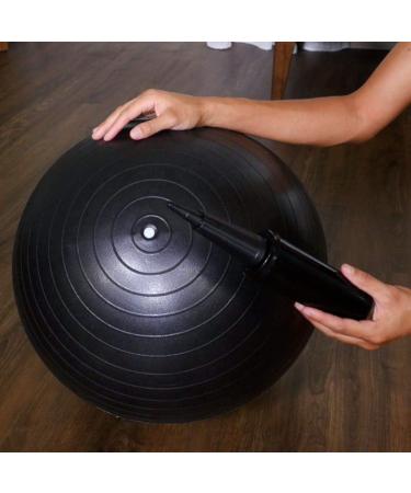 DYNAPRO Air Pump - Hand Pump for Exercise Balls & Inflatables - Buy Online on GoSupps.com