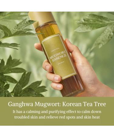 Mugwort Essence 5.64 fl oz - Premium Herbal Extract for Wellness - Buy Online on GoSupps.com
