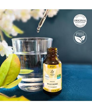 Original Bach Flower Drops No. 37 Wild Rose | Organic & Vegan | Lemon Pharma - International Shipping Available - Buy Online on GoSupps.com