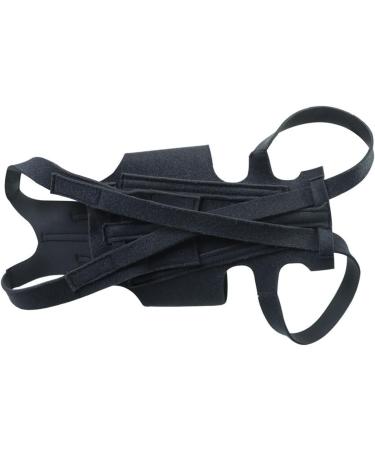 Dog Back Support Ease Discomfort and Aid Healing Supporting Vest for Walking Supportive Dog Back Bracer No Pull Assist Dog Back Bracer Small - Buy Online on GoSupps.com