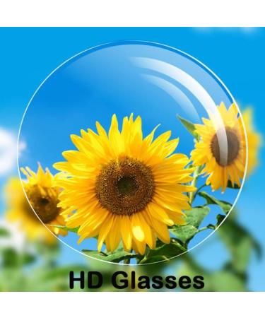 GHARAZ Half Glasses for Women | Blue Light Filter Reading Glasses | Titanium Alloy Computer Readers | Silver 2.5+ - Buy Online on GoSupps.com