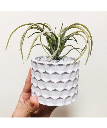 Round Honeycomb Concrete Flower Pot Silicone Mold - Succulent Planter, Cactus Mold, Candle Holder, Jewelry Storage - Epoxy Resin Clay Mold - Buy Online on GoSupps.com