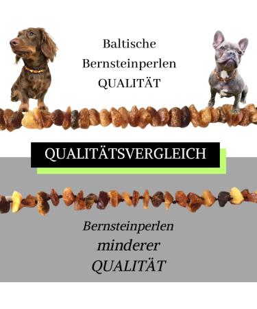 Buy Baltic Secret Dog & Cat Neck Band - Adjustable Amber Flea Tank Bands | Natural Treatment & Perfect Gift for Animal Lovers - Buy Online on GoSupps.com