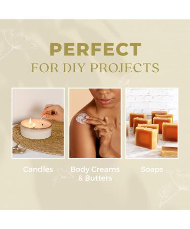 Organic Fennel Essential Oil for Digestion Sweet Fennel Seed Oil for Congestion Relief & Uplift Mood 100% Pure Undiluted Therapeutic Grade for Aromatherapy Glowing Skin Strengthened Hair 1oz Fennel 1 Fl Oz (Pack of 1) - Buy Online on GoSupps.com