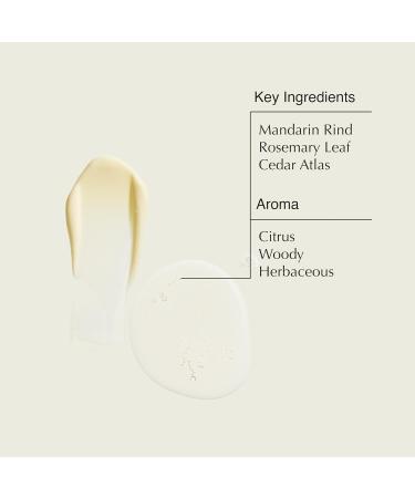 Aesop Resurrection Hand Wash & Balm Set | Citrus & Woody Duo to Cleanse and Moisturize Hands | 16.9 oz / 500 mL (Set of 2) - Buy Online on GoSupps.com