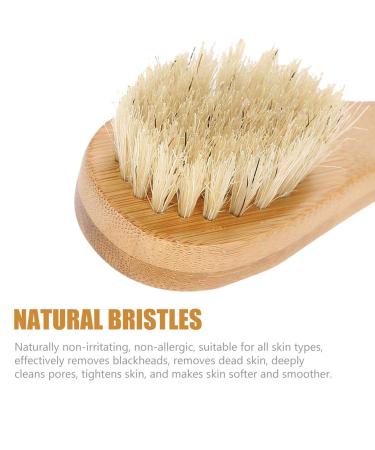 Natural Exfoliating Body Brush with Natural Bristles - Wet & Dry Brushing for Radiant Skin - Buy Online on GoSupps.com