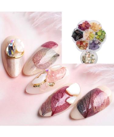 IME Nail Dried Flower & Crushed Seashell Mix for 3D Nail Art - DIY Manicure Decor Kit - Buy Online on GoSupps.com