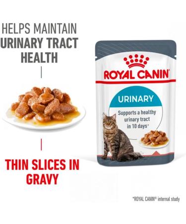ROYAL CANIN Urinary Care In Jelly Adult Wet Cat Food (Pack of 12) - Buy Online on GoSupps.com