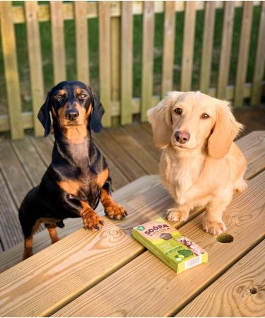 Soopa Kale and Apple Dental Dog Treats Vegan Grain Free Made in Ireland 4 Sticks Kale and Apple 1 Pack (4 Sticks) - Buy Online on GoSupps.com