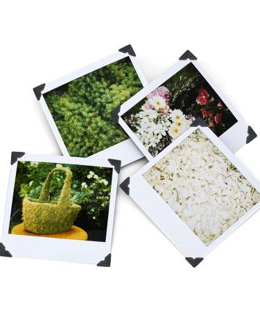 288 Count Black Self-Adhesive Photo Corners Stickers for Scrapbooks and DIY Albums - Buy Online on GoSupps.com
