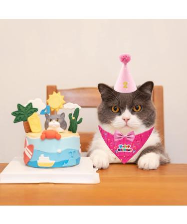 4-Piece Pet Birthday Party Supplies | Dog Triangle Scarf Hat & Gold Pink Decorations for Small Medium & Large Pets - Buy Online on GoSupps.com