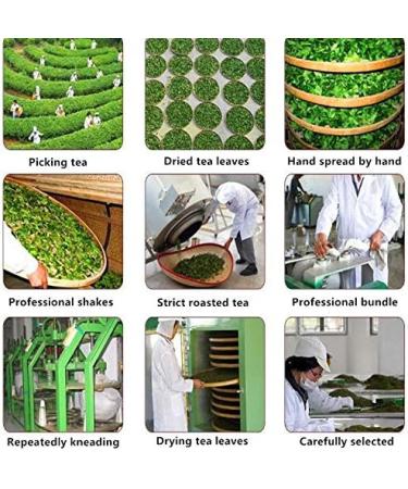 Premium PU Erze Raw Puer Tea 100g - Authentic Yiwugushu Chinese Green Tea for Health Benefits - Buy Online on GoSupps.com