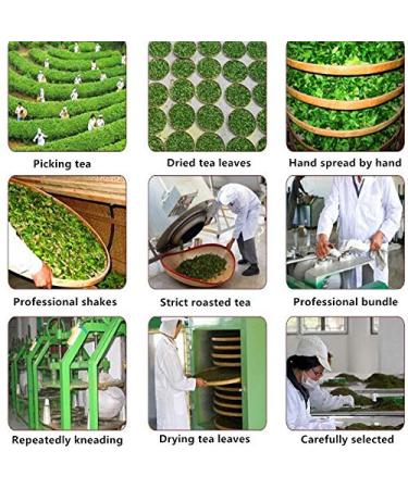 Raw Pu-Erh Tea 357G | Organic Chinese Puer Tea | Health Benefits & Premium Quality Green Tea - Buy Online on GoSupps.com