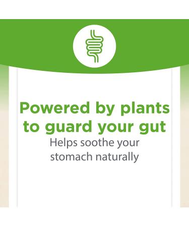 Natural Factors DGL Root Extract 180 Chewable Tablets | Digestive Health Support - Buy Online on GoSupps.com