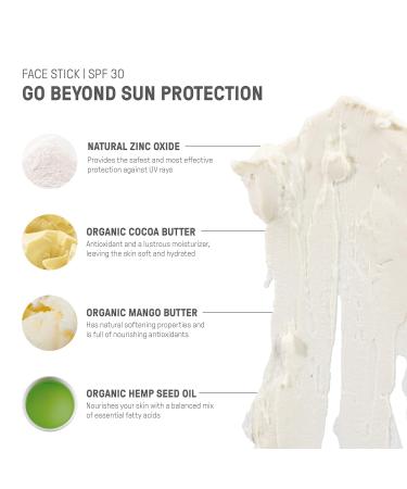 Raw Elements Face All-Natural Mineral Sunscreen Stick Non-Nano Zinc Oxide 95% Organic Water-Resistant 80 Min Reef Safe All Ages Safe SPF 30+ Travel Sunblock 0.5 oz 2PK - Buy Online on GoSupps.com