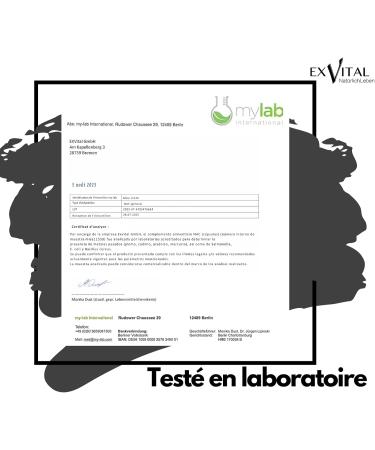 EXVital NAC Capsules 600 mg par capsule 180 capsules v g taliennes contenant de la N-ac tylcyst ine N-ac tyl-L-cyst ine hautement dos e Test en laboratoire et sans additifs - Buy Online on GoSupps.com