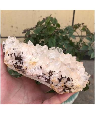 Room Decoration Natural Rough Quartz Stone Beautiful (Color : 1PC 380g-500g) (Color : 1pc 710g-900g) - Buy Online on GoSupps.com