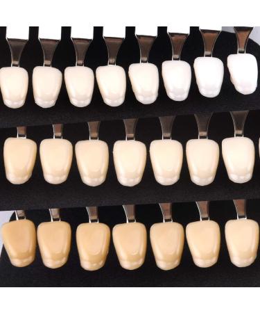LMEIL Dental Color Chart - 20 Colors Cold Teeth Whitening Chart with Mirror | Premium Packaging for Dental Health - Buy Online on GoSupps.com