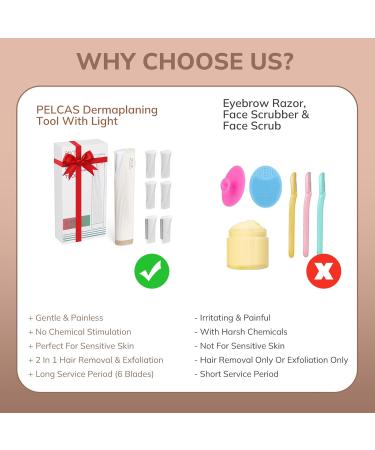 PELCAS Electric Dermaplaning Tool with LED Light - Mini Facial Razor for Painless Hair Removal at Home - 3 Speeds & 6 Blades for Women - Buy Online on GoSupps.com