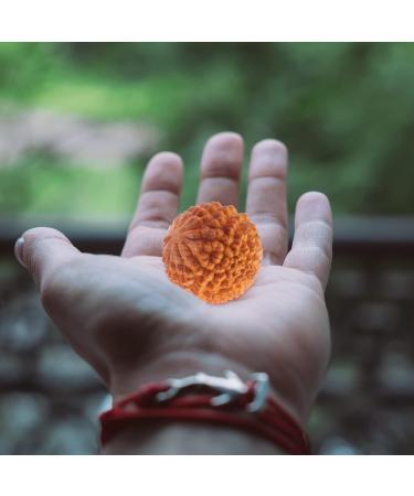 Healifty Yoga Care: Wooden Spiky Balls for Muscle Therapy & Acupuncture Relief | International Shipping - Buy Online on GoSupps.com