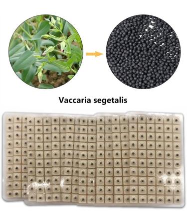 Buy 600 Disposable Ear Seed Plasters for Acupressure | Ear Seed Acupuncture & Massage Stickers - International Shipping - Buy Online on GoSupps.com