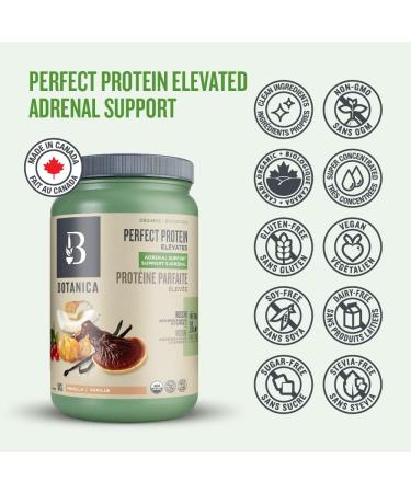 Vegan Protein Powder Adrenal Support 642 g | Vanilla Protein Powder for Stress & Anxiety Relief with Vitamin C | Reishi Prevents Cough and Ashwagandha Helps Sleep Aid | Organic Protein Coconut Milk Powder with Monk Fruit Sweetener | 14 Servings - Buy Online on GoSupps.com