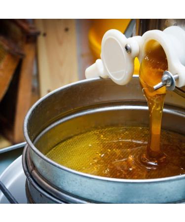 L'Abella Mel - Pack of 3 jars of Almond Honey Orange Blossom and Thyme -100% Natural | Pure Bee Honey - Handmade from the Costa Blanca Spain - Gluten Free - 1500g - Buy Online on GoSupps.com