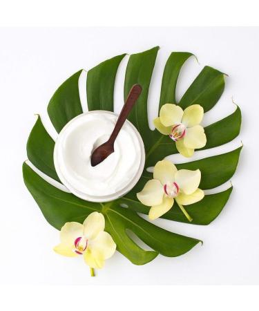 PURE FIJI White Gingerlily Body Butter 8oz - Natural Moisturizer for Dry Skin with Vitamin E - Face Cream and Body Lotion - Buy Online on GoSupps.com