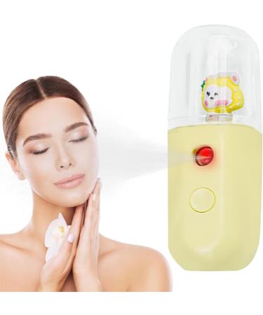 Pulv risateur d'eau hydratant pour le visage | brumisateur visage humidificateur nano pulv risateur | Face Water SPA Appareil hydratant 30 ml Humidificateur brume fra che pour femme Boiler Lapin aux Fraises - Buy Online on GoSupps.com