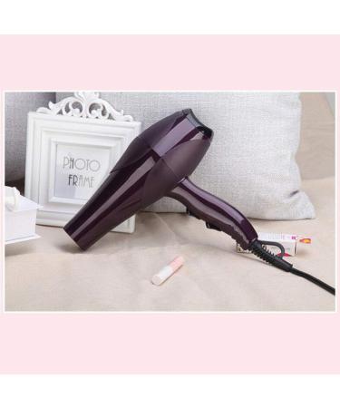2000W Powerful Quick Drying Salon Professional Hair Dryer Compact Anti-frizz Ionic Hairdryer with 2 Styling Nozzle and Diffuser 3 Heat 2 Speed Settings Blow Hair for Home and Salon Black Small - Buy Online on GoSupps.com