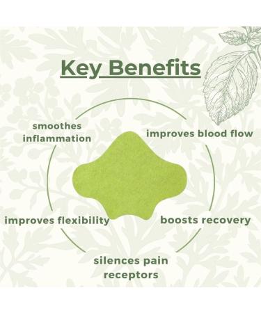 Flexiback Lumbar Spine (1 pack) - Buy Online on GoSupps.com