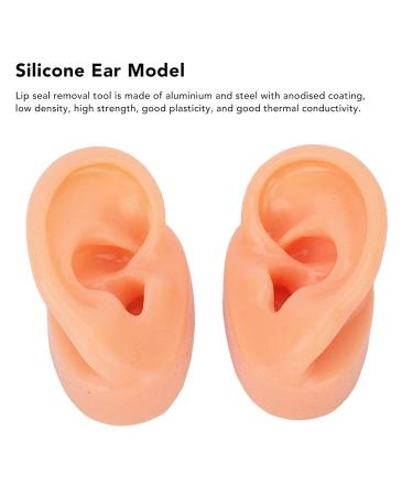 Waterproof Simulated Teaching Ear Model for Doctors - Long Lasting Artificial Ear - Buy Online on GoSupps.com