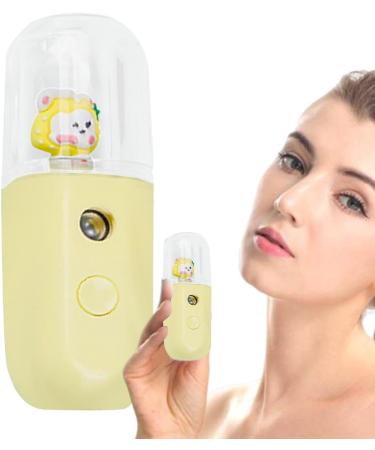 Pulv risateur d'eau hydratant pour le visage | brumisateur visage humidificateur nano pulv risateur | Face Water SPA Appareil hydratant 30 ml Humidificateur brume fra che pour femme Boiler Lapin aux Fraises - Buy Online on GoSupps.com