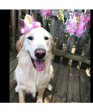 Rimobul Pet Crown Hat - Reusable Birthday Party Crown for Pet Girl Cat Dog - Pet Gift Grooming Accessories - Pink - Pack of 1 - Buy Online on GoSupps.com