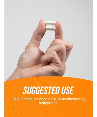 L-Carnitine 1000mg Capsules - BulkSupplements.com | Carnitine Supplement | 240 Capsules for Energy & Weight Loss - Buy Online on GoSupps.com