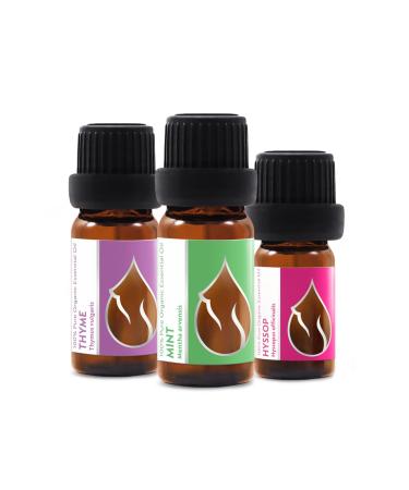 Set "Breathe Freely" Organic Essential Oils | Thyme (10ml) + Mint (10ml) + Hyssop (5ml) | 100% Pure and Natural | Undiluted | Therapeutic Grade | Family-Owned Farm | Non-GMO