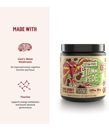 Earth Fed Muscle Stammpede Sour Cherry Pre Workout Powder for Men & Women Pre Workout No Caffeine Vegan & Gluten Free Boosts Focus & Endurance Lion s Mane Taurine Peak O2 30 Servings - Buy Online on GoSupps.com