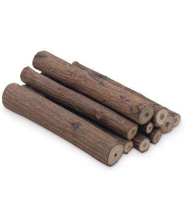 Living World Green Small Animal Chews Neem Sticks - 10 Count (Pack of 1) - Buy Online on GoSupps.com