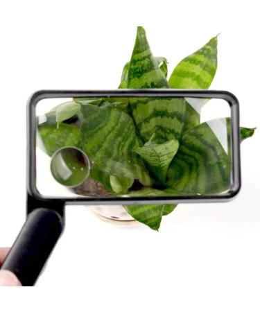 Folding Square Glass 3X Portable Pocket Magnifier Old Man Children Reading Flowers Mobile Phone Text Messages Travel HD Mirror Made in China - Buy Online on GoSupps.com