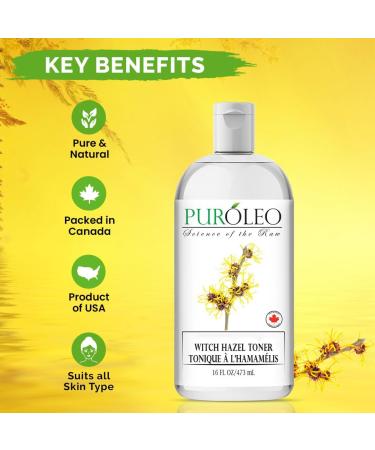 PUROLEO Witch Hazel Toner 16 Fl Oz/473 ML (Packed in Canada) Refresh and Revitalize Your Skin with | Premium Bottle | Luxury Skin Care Toner | Facial Toner for Postpartum & Skincare 473 ml (Pack of 1) - Buy Online on GoSupps.com