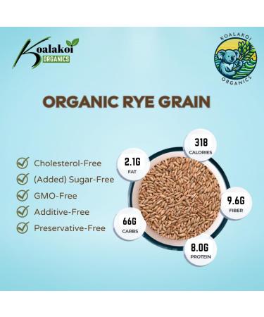Koalakoi ORGANIC Certified Rye Grain (4.5kg) | Premium non-GMO Rye Berries 100% Natural no Additives or Preservatives | Packed with antioxidants Perfect for home milling - Buy Online on GoSupps.com