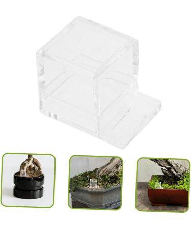 BCOATH Pet Water Feeder Ants Feeding Bowl Ant Feeding Bowl Water Bowl for Ants Mini Liquid Feeder Plastic - Buy Online on GoSupps.com