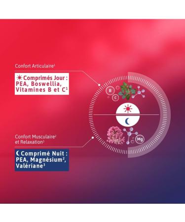 ALVITYL Chondroflex Jour Nuit Formule Flash - Double action : jour & nuit - PEA Confort articulaire et musculaire relaxation - 8 Jours - Buy Online on GoSupps.com