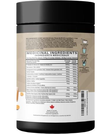 Iron Brothers Supplements Ruthless Pre workout Powder for Women & Men | Creatine-Free Nitric Oxide Booster | Energy & Focus | Natural Workout Supplement Bulk Pre-Workout | 40 Servings (Orange Cream) Orange Creamsicle - Buy Online on GoSupps.com