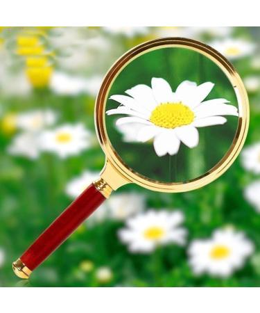 10X Glass HD Lens Redwood Handle Large Handheld Magnifier for Kids Jewellers Reading Newspaper Books Elderly The Best Gift Loupe Good Times - Buy Online on GoSupps.com