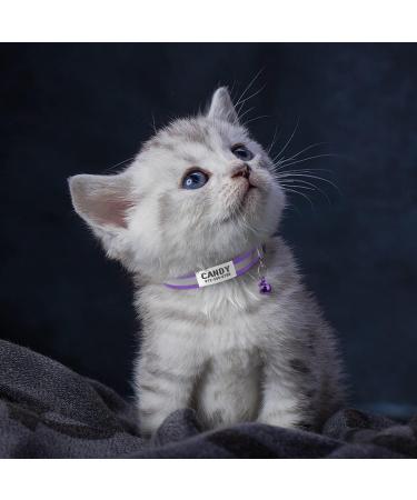Tagme 2 Pack Purple Cat Collars for Kittens | Personalizable with Name & Phone Number | Safety Clasp & Bell | Adjustable 15-20 cm - Buy Online on GoSupps.com