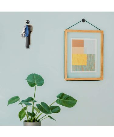 Hotop Double Headed Picture Hangers Nails - 50 Black Thumb Tacks for Home & Office Wall Decor - Buy Online on GoSupps.com