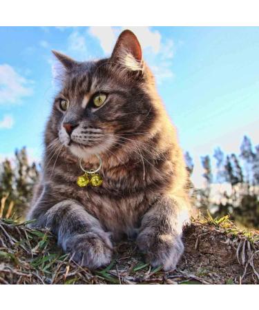 GAbraden 2 Extra Loud Cat & Dog Bells | Pet Tracker | Save Birds & Wildlife - Buy Online on GoSupps.com