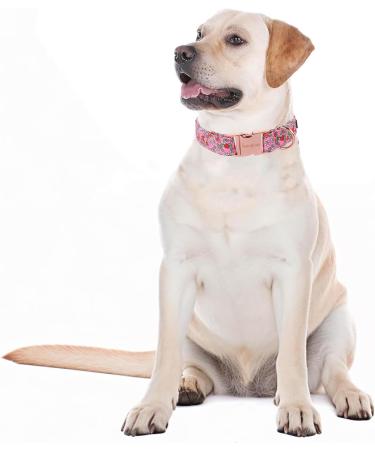 Unique Style Paws Summer Rosa Strawberry Dog Collar - Wide Fly Chain for Small to XL Dogs - Perfect Gift for Pet Lovers - Buy Online on GoSupps.com